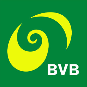 Basler Verkehrs-Betriebe (BVB)